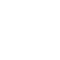 blueberry logo w