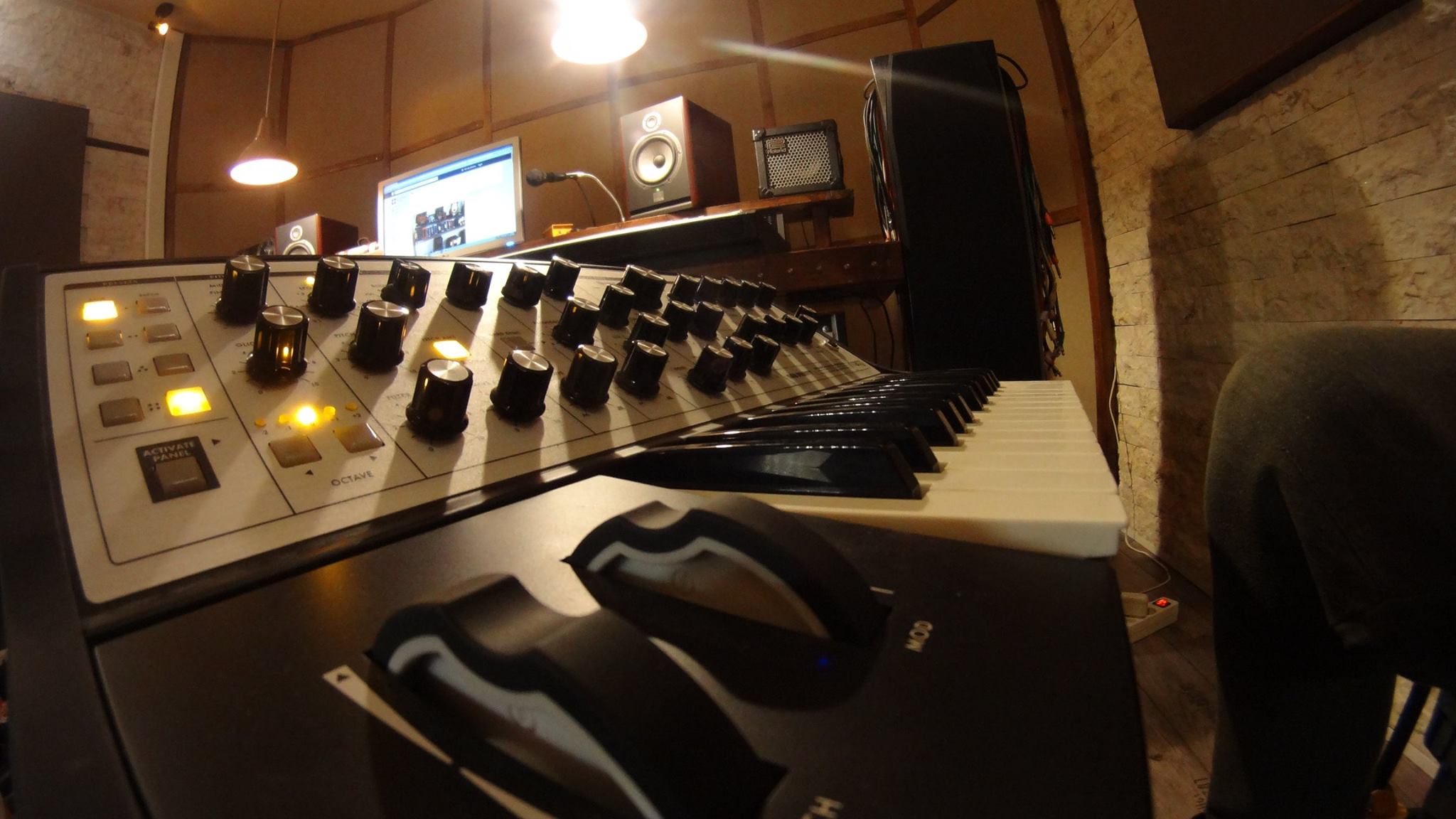 Moog Berry